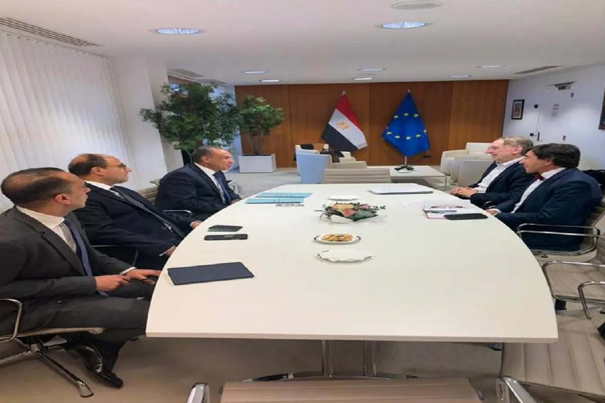 وزير الخارجية خلال لقاءاته بالبرلمان الأوروبي