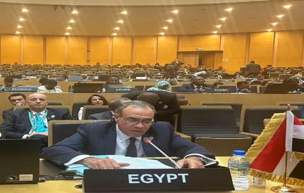 وزير الخارجية المصري الدكتور بدر عبدالعاطي