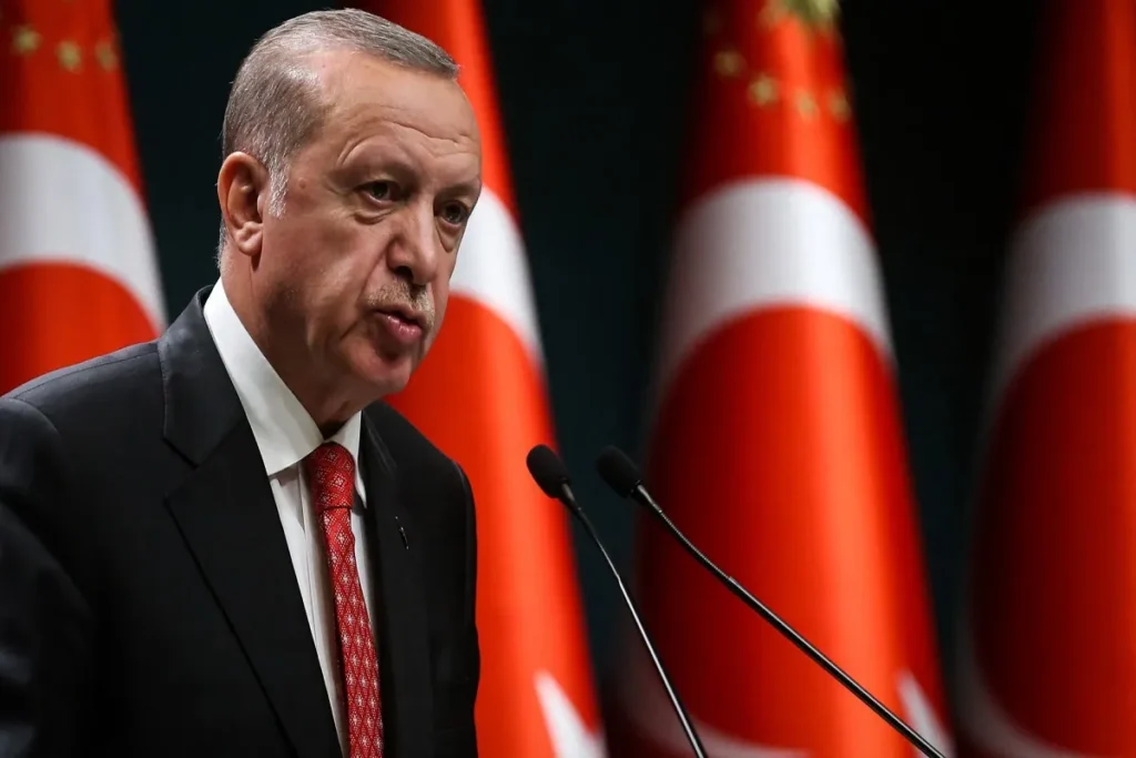 الرئيس التركي رجب طيب أردوغان- أرشيفية