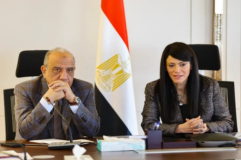 اجتمع وزيرة التخطيط مع وزير الكهرباء