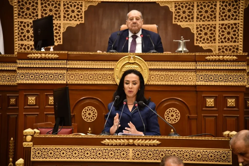 وزيرة التضامن في كلمتها أمام النواب