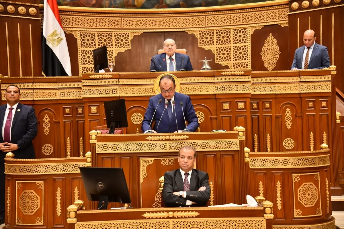 وزير قطاع الأعمال العام يلقي بيان الوزارة أمام مجلس الشيوخ