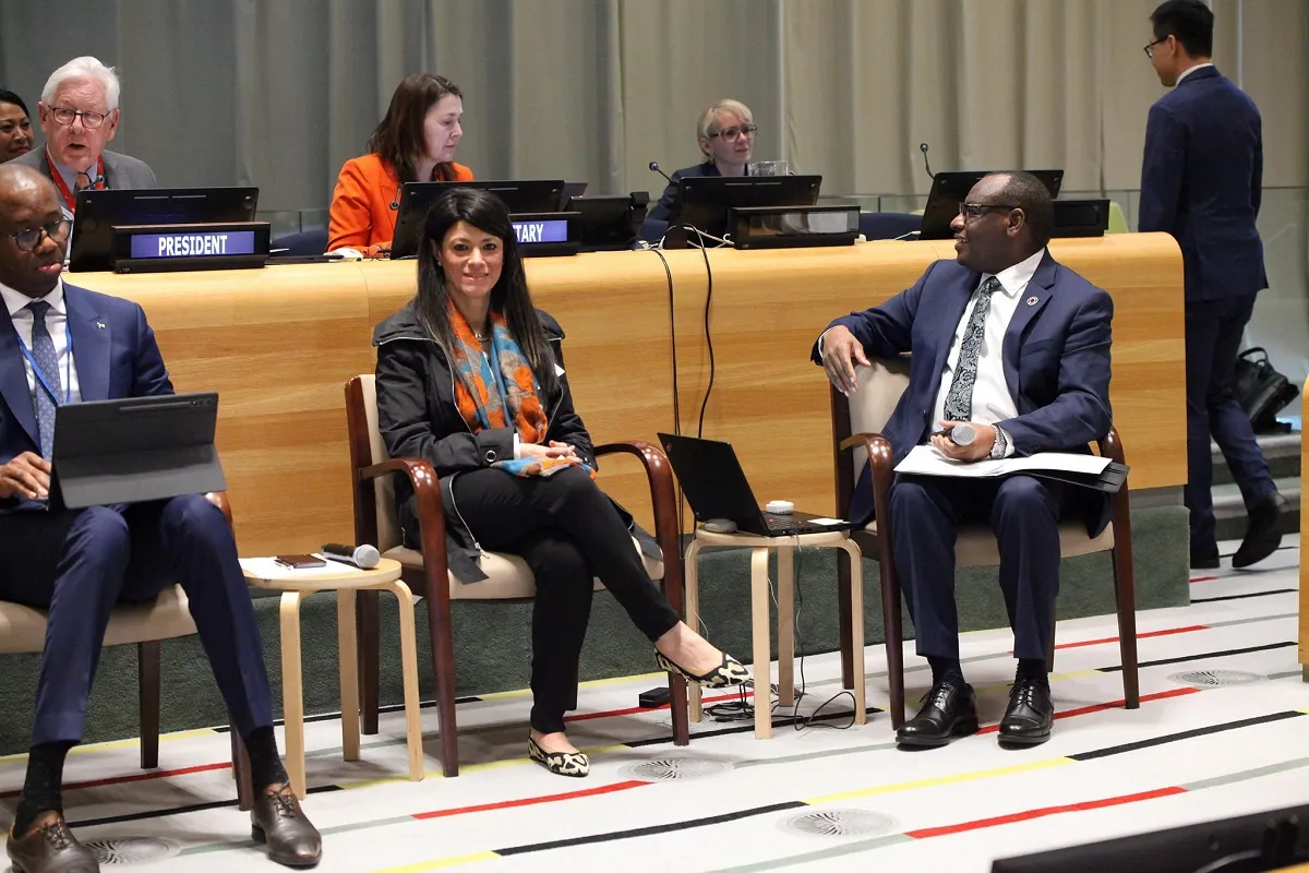 وزيرة التخطيط أثناء المؤتمر