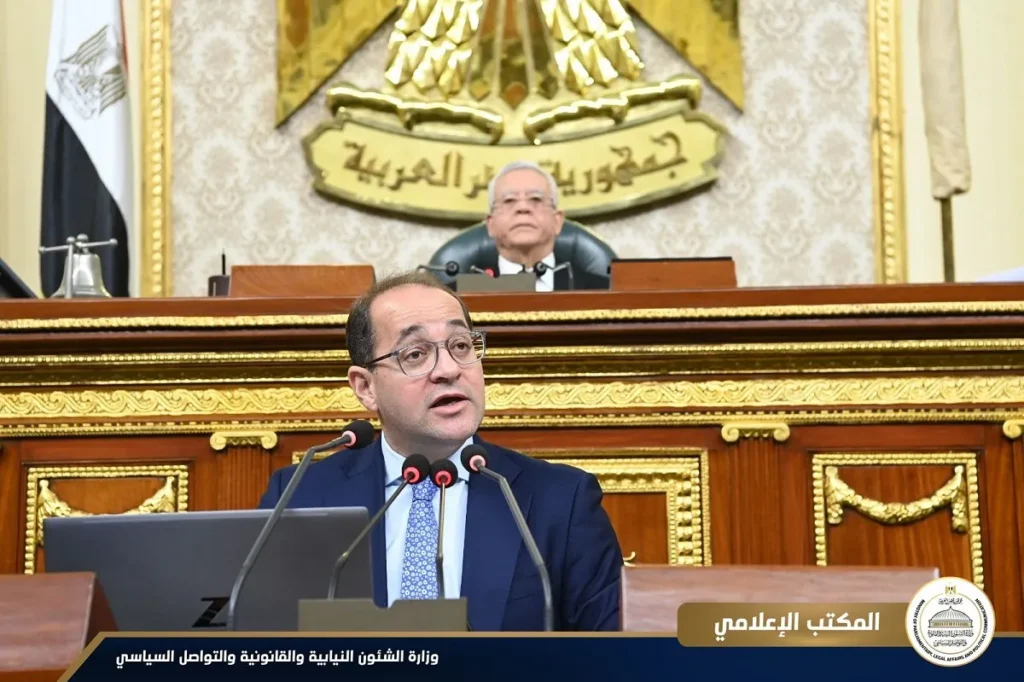 وزير المالية يعرض خطة الوزارة على مجلس النواب