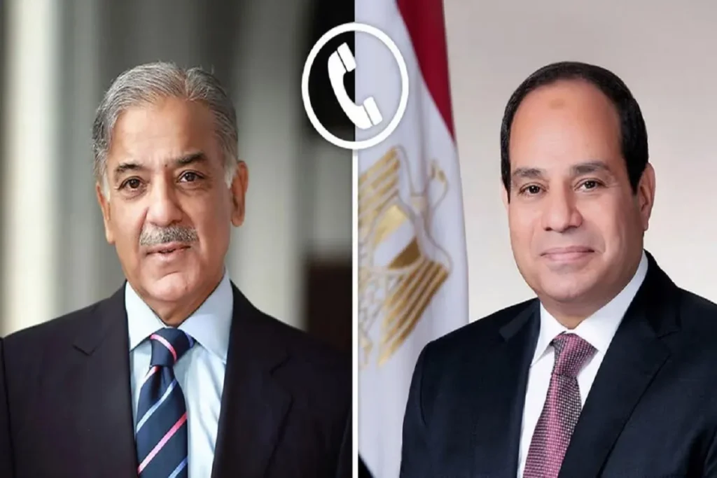 الرئيسان المصري والباكستاني
