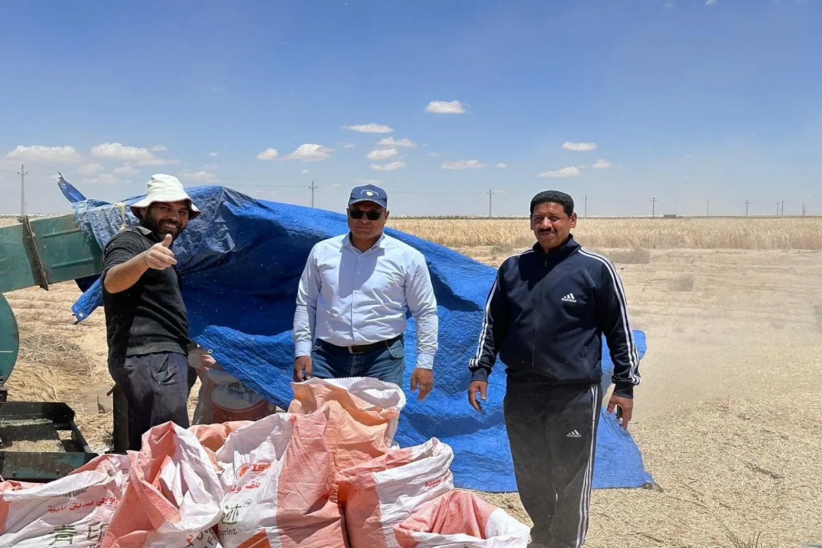 مسئولي وزارة الزراعة خلال متابعة حصاد القمح