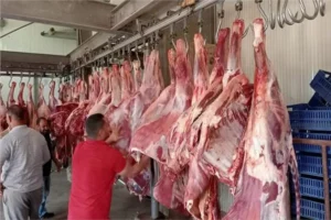 المجمعات الاستهلاكية في عيد الأضحى تواصل توفير اللحوم والسلع الغذائية للمواطنين