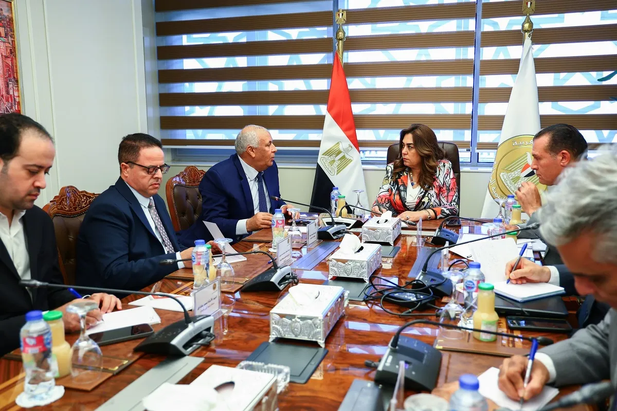 اجتماع وزيرة التنمية المحلية مع محافظ الوادي الجديد