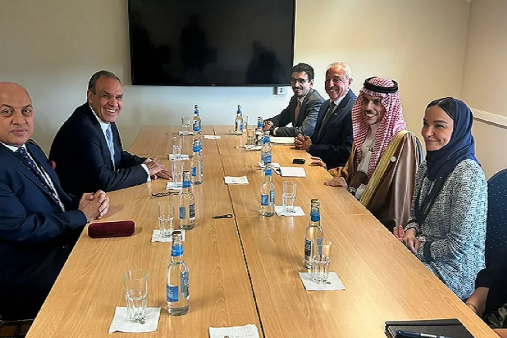 وزيري الخارجية المصري والسعودي