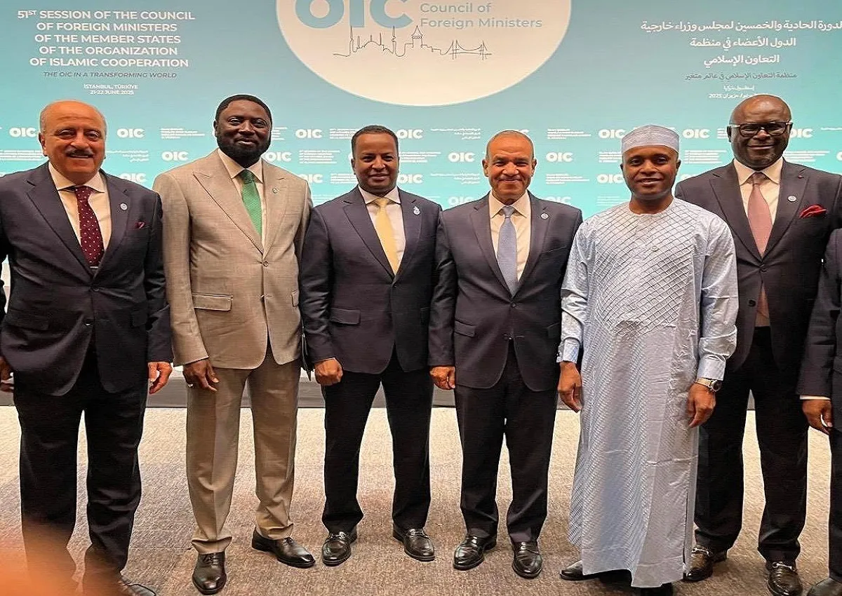 وزير الخارجية المصري مع نظرائه العرب والأفارقة