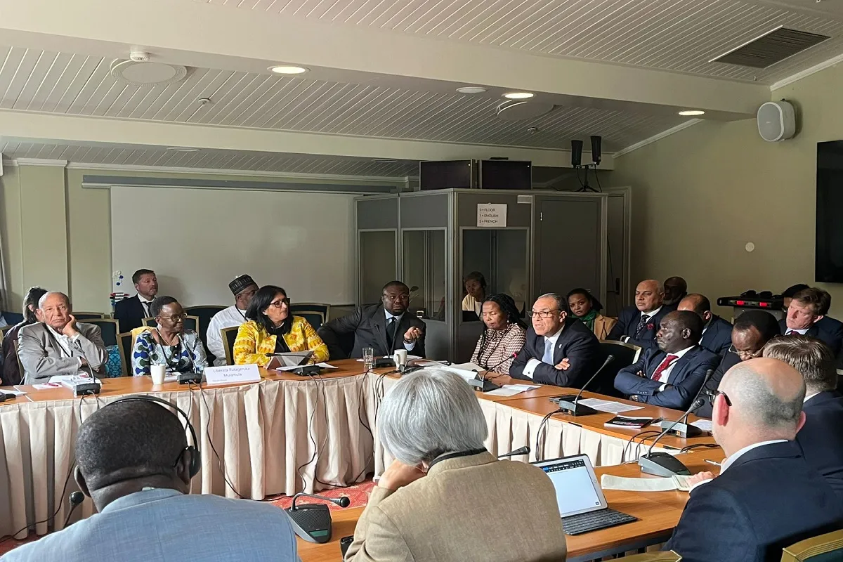 وزير الخارجية المصري خلال جلسة حول تحقيق السلام في إفريقيا