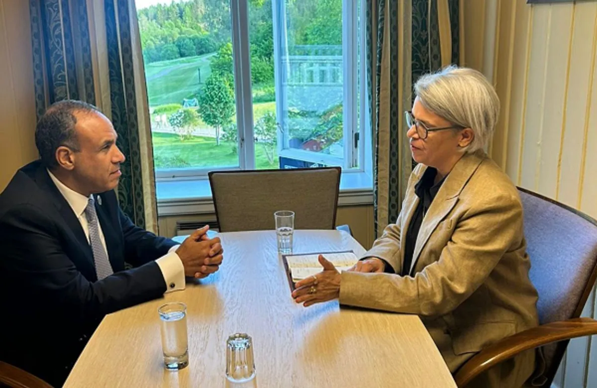 وزير الخارجية المصري يلتقي مع مبعوثة الاتحاد الأوروبي للقرن الأفريقي