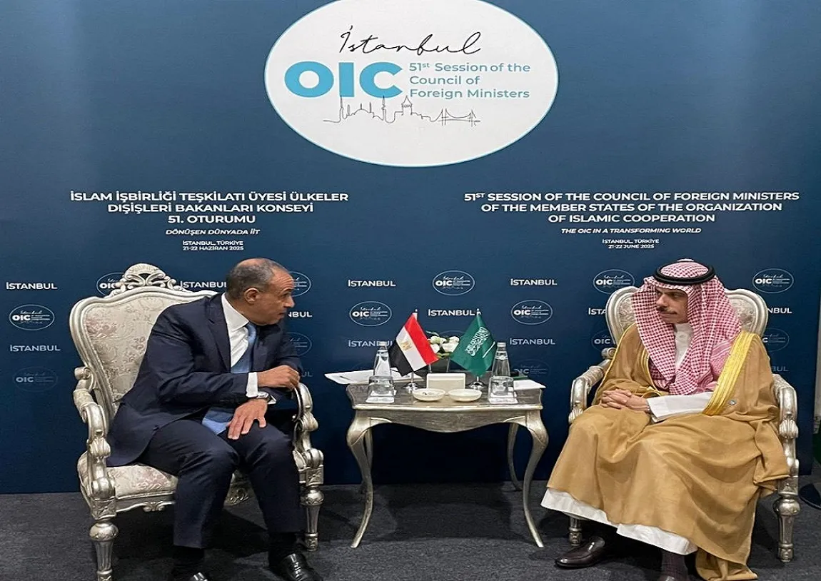 وزير الخارجية المصري يلتقي بنظيره السعودي