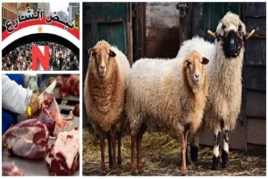 عيد الأضحى وزارة الزراعة لحوم أضاحي