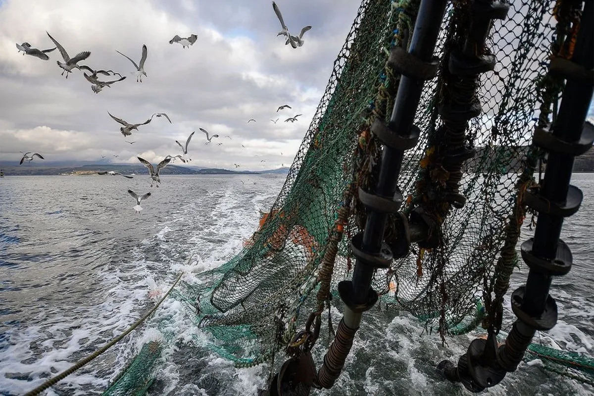 تقرير من الأمم المتحدة عن صيد الأسماك في المحيطات