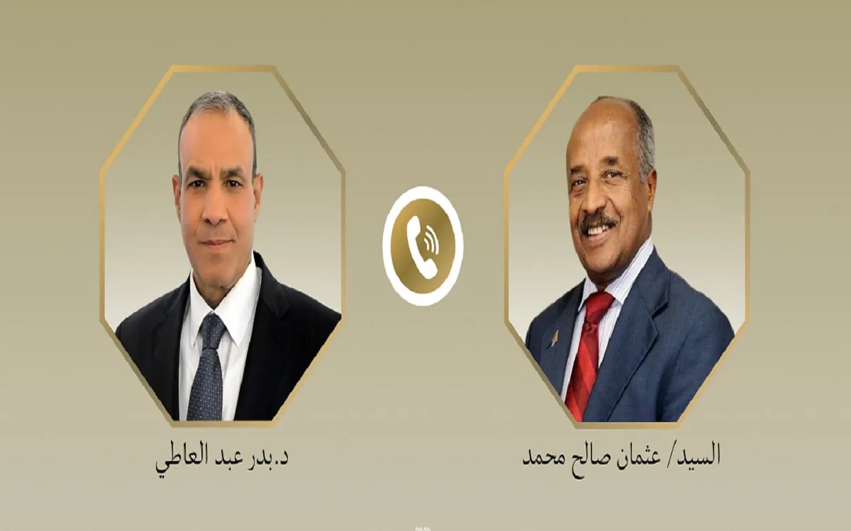 وزير الخارجية المصري ونظيره الإريتري