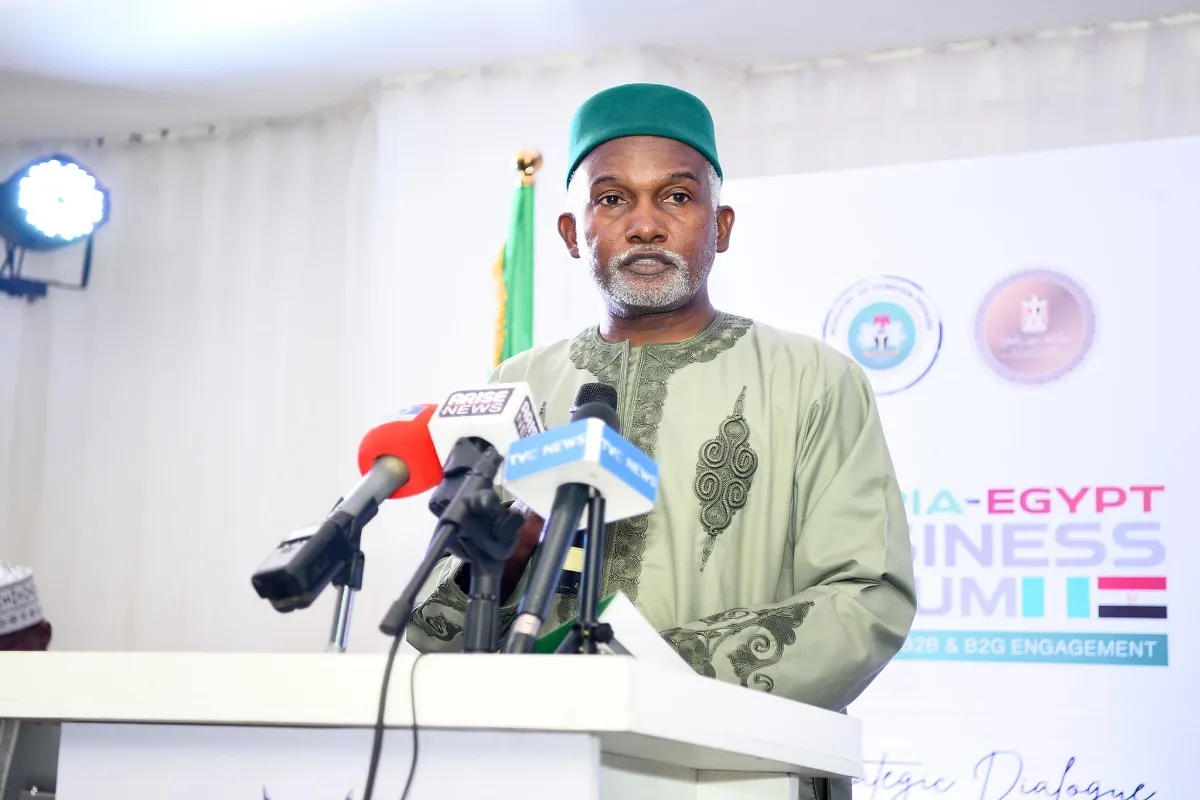 وزير الخارجية النيجيري أثناء إلقاء كلمته