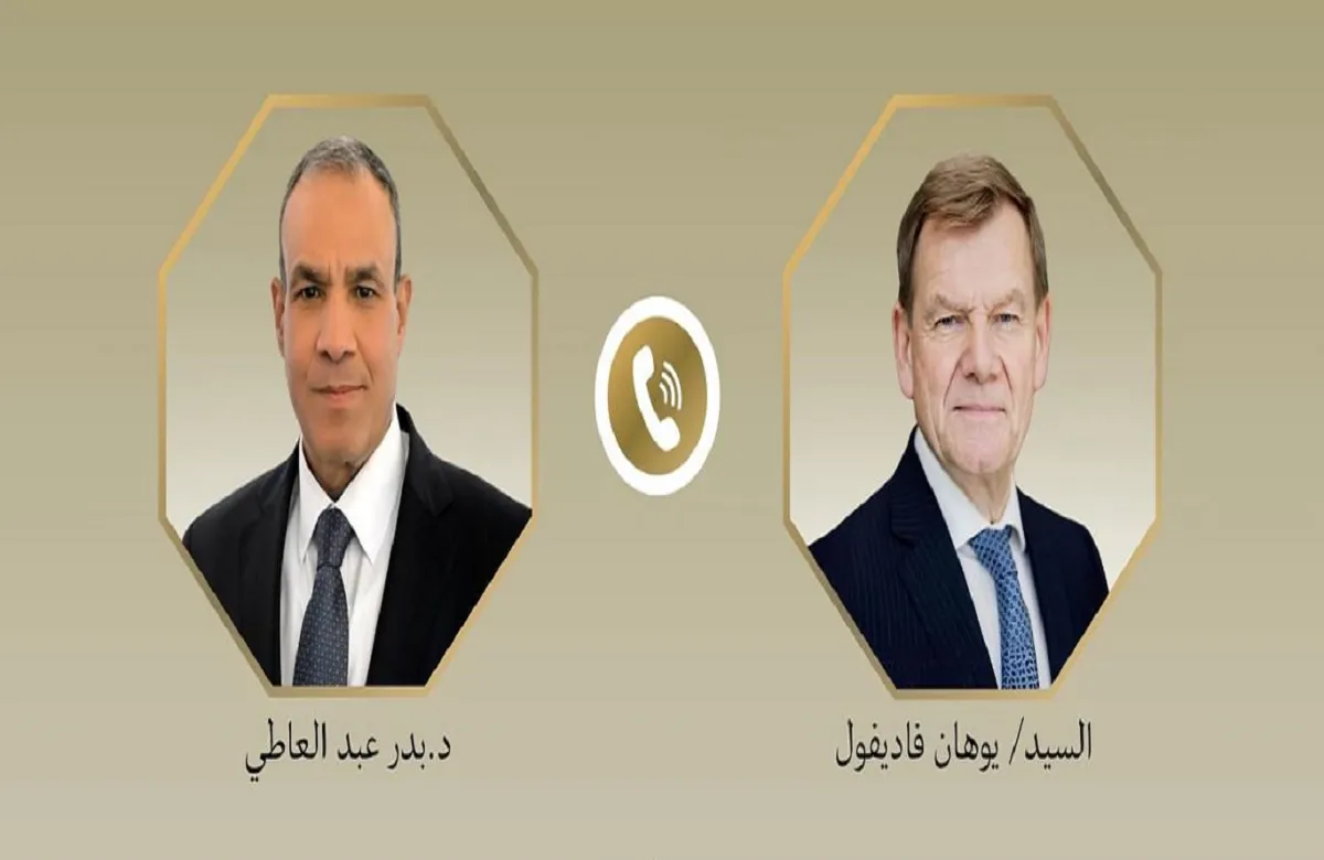 وزير الخارجية المصري ونظيره الألماني