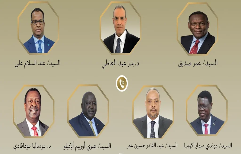 وزير الخارجية المصري يجري اتصالات مع عدد من نظرائه في الدول الأفريقية