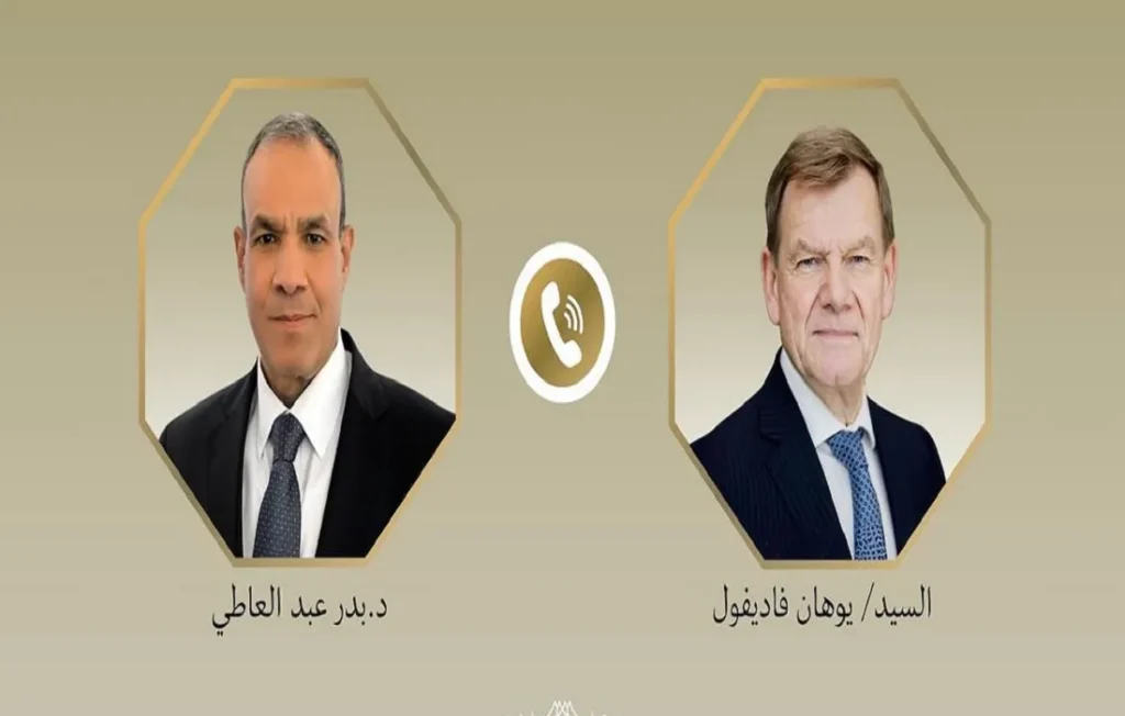 وزير الخارجية المصري ونظيره الألماني