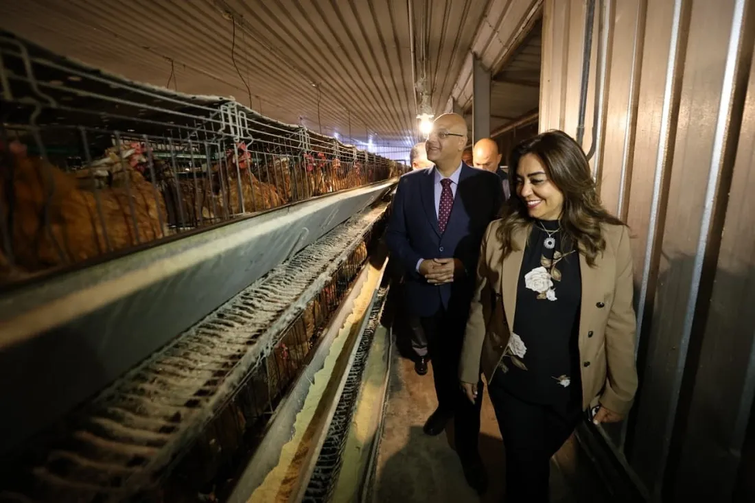 وزيرة التنمية المحلية ومحافظ القليوبية وجولة داخل المشروع