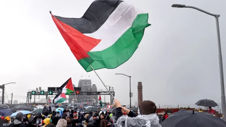 علم دولة فلسطين خلال مظاهرة مؤيدة لها