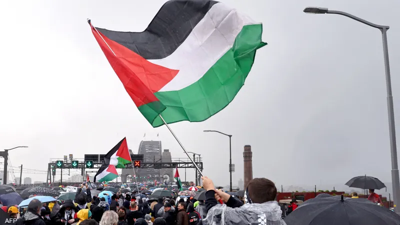 علم دولة فلسطين خلال مظاهرة مؤيدة لها