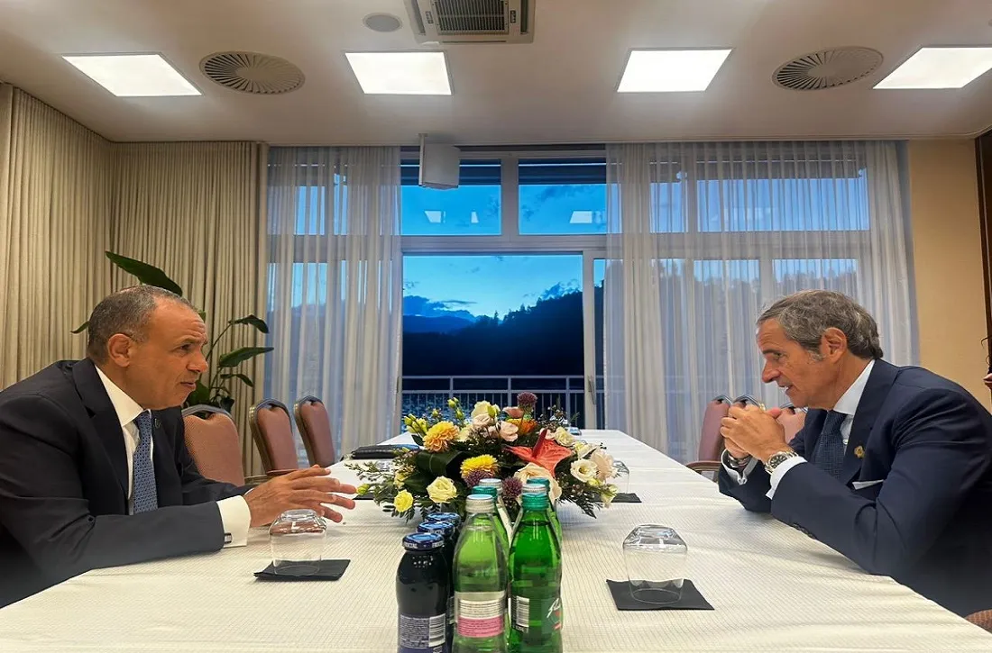 اجتماع وزير الخارجية المصري مع المدير العام للوكالة الدولية للطاقة الذرية