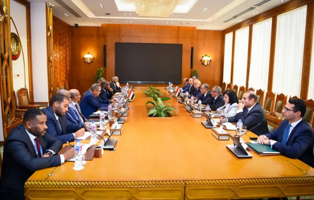 بيان صادر عن اجتماعات آلية 2+2 بين وفدي مصر والسودان