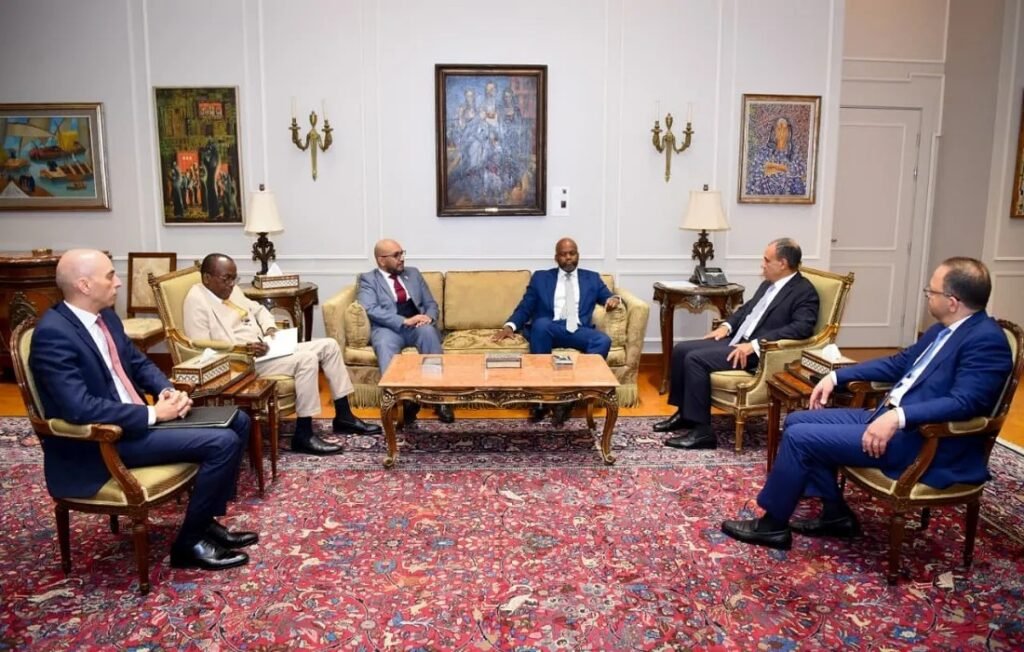 وزير الخارجية المصري يلتقي سكرتير عام منطقة التجارة الحرة القارية الأفريقية