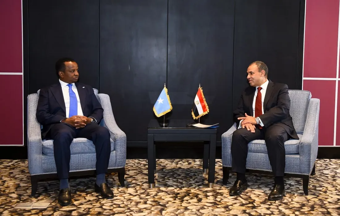 اجتماع وزير الخارجية المصري مع وزير الخارجية الصومالي