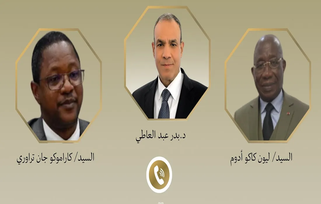 اتصالات مكثفة لوزير الخارجية المصري