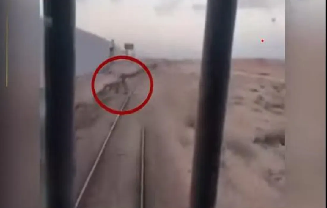 المواطن وهو يشير لقائد القطار على توقف السيارة بالقرب من المكان على شريط السكة الحديد