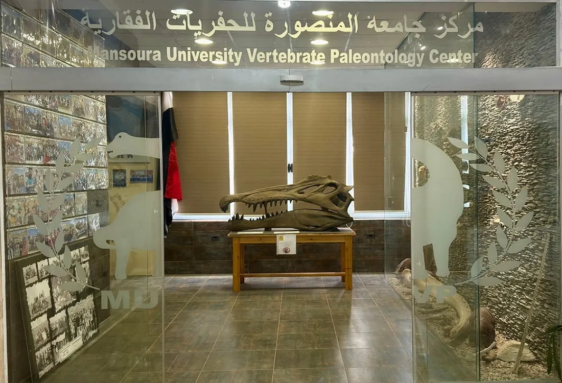 اكتشاف أثري لنوع جديد من التماسيح القديمة عاش في مصر