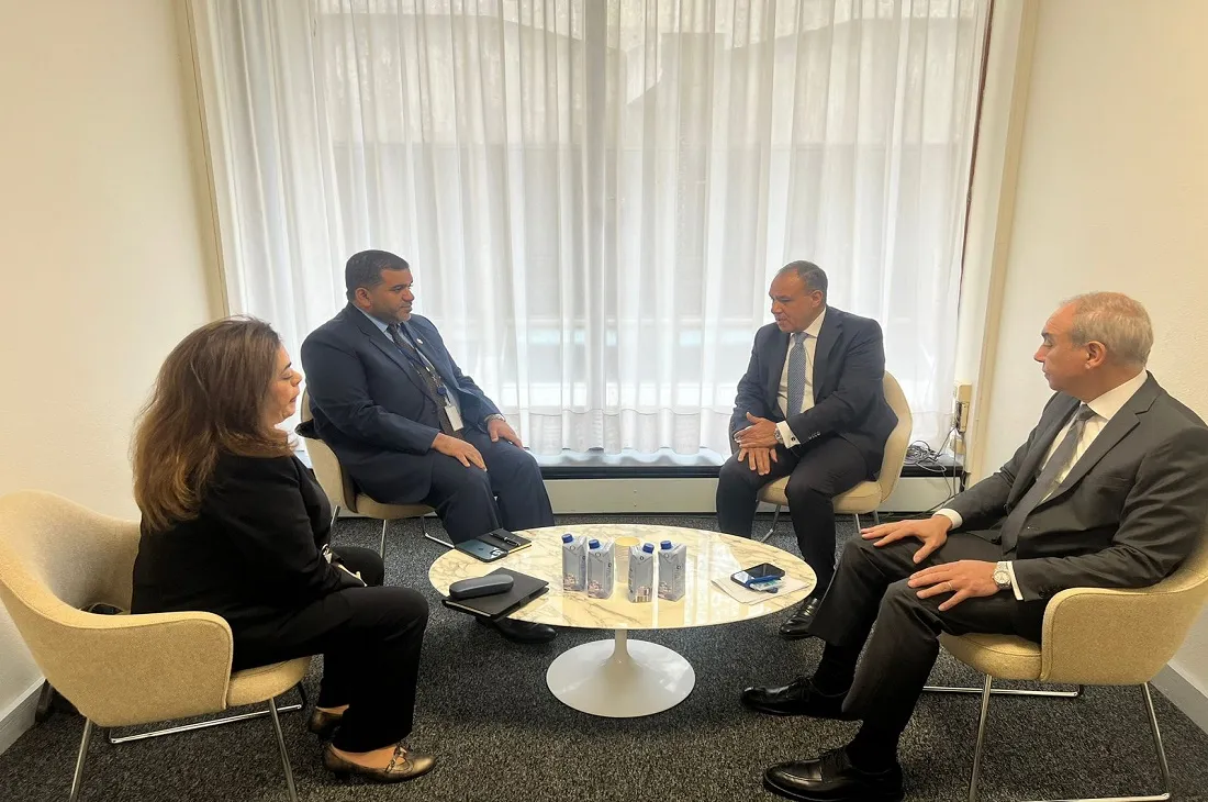 وزير الخارجية المصري يلتقي مندوب الإمارات الدائم لدى اليونسكو