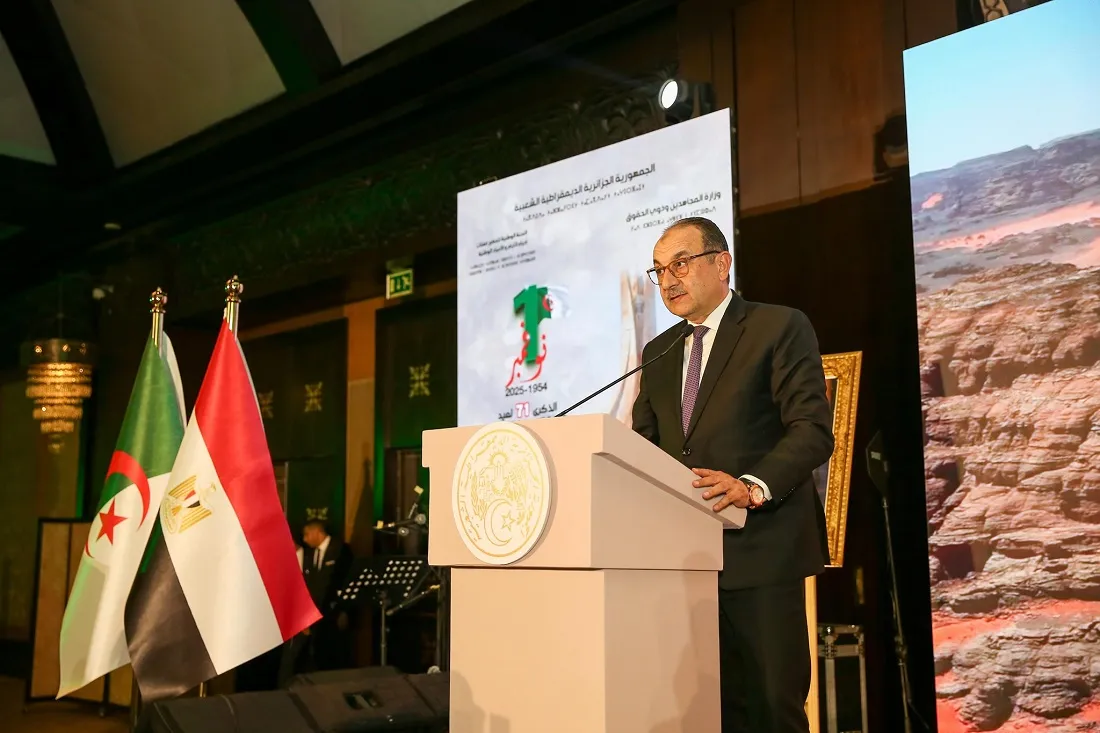 وزير قطاع الأعمال أثناء إلقاء كلمته