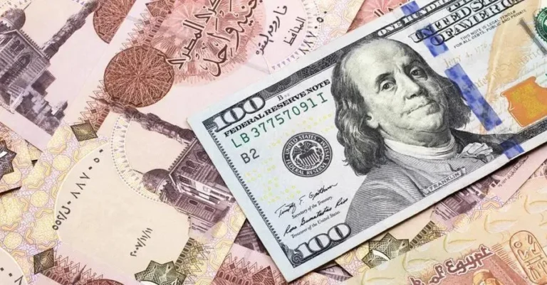 عملات سعر الدولار - الجنيه المصري