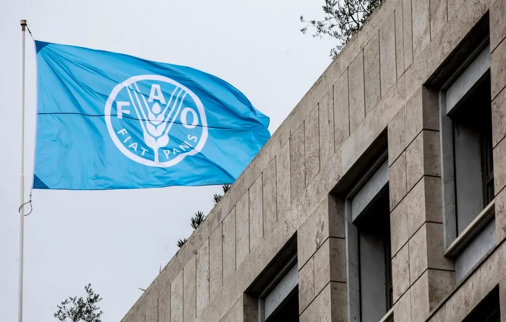 منظمة الأمم المتحدة للأغذية والزراعة (الفاو)
