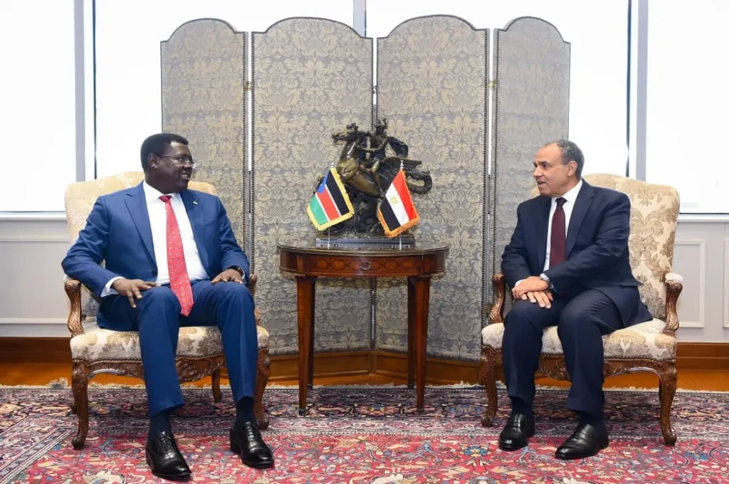 الخارجية المصري ونظيره بجنوب السودان