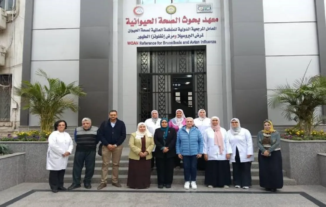 معهد بحوث الصحة الحيوانية