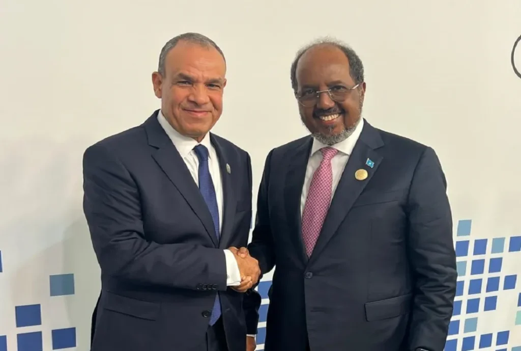 وزير الخارجية المصري يلتقي رئيس جمهورية الصومال