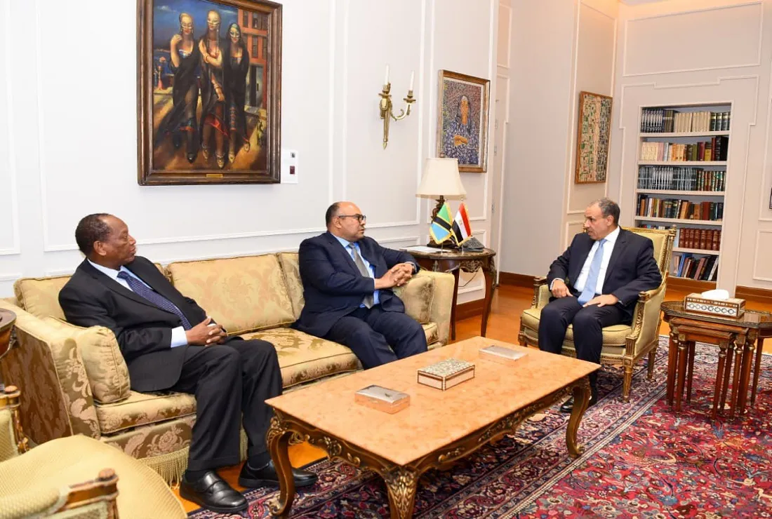وزير الخارجية المصري يلتقي نظيره التنزاني