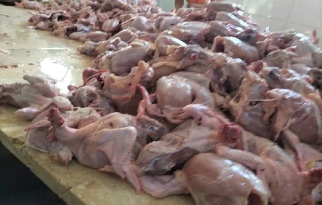 ضبط وإغلاق وتشميع محل غير مرخص للدواجن – صورة أرشيفية