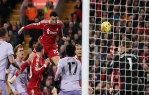 ليفربول وبرايتون في الدوري الإنجليزي