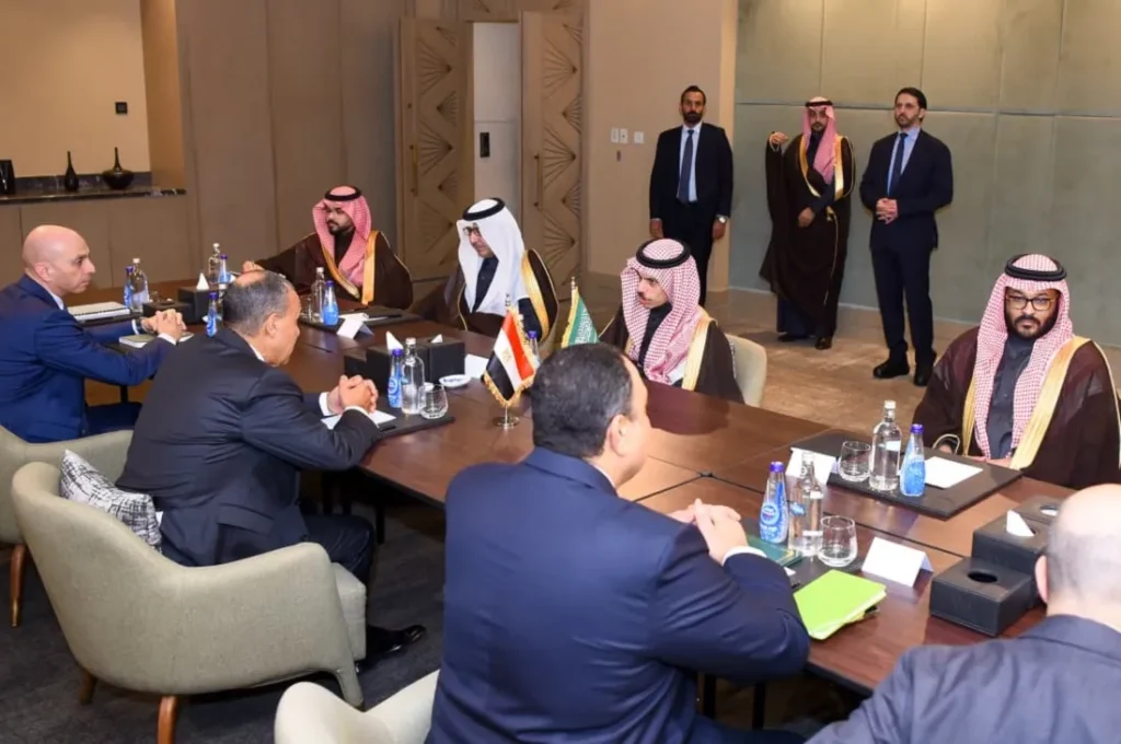 وزير الخارجية المصري ونظيره السعودي