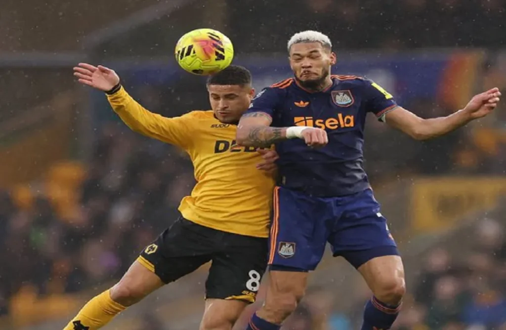 وولفرهامبتون ونيوكاسل يونايتد