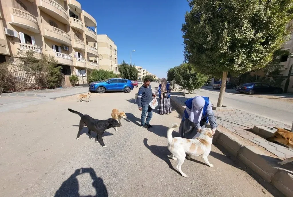 فرق تحصين كلاب الشوارع في المحافظات