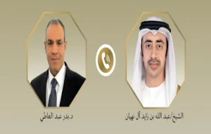 وزير الخارجية المصري ونظيره الإماراتي