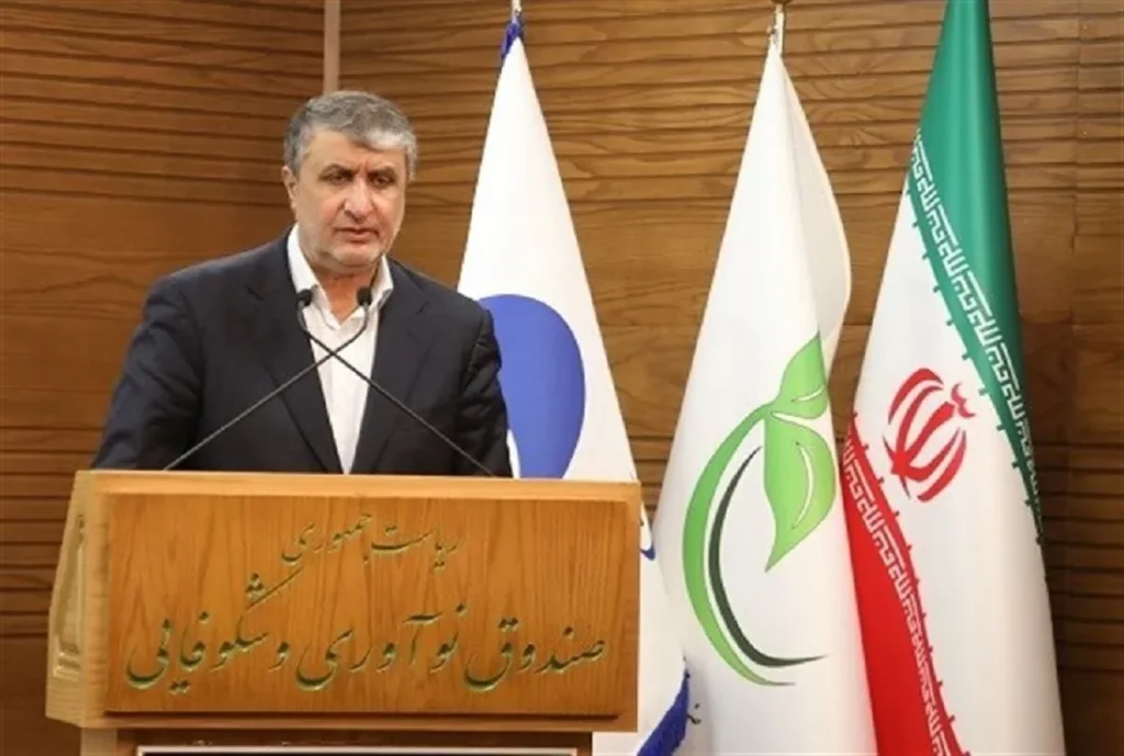 رئيس منظمة الطاقة النووية في إيران محمد إسلامي - أرشيفية