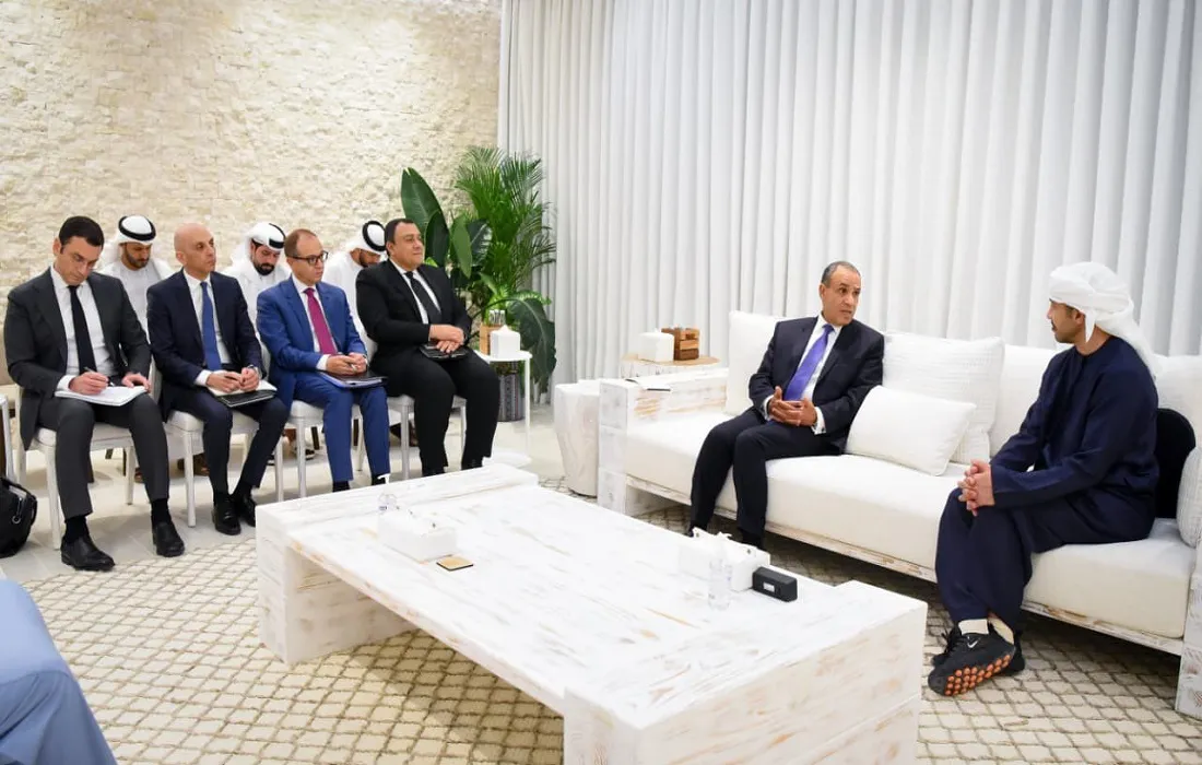 اجتماع وزير الخارجية المصري ونظيره الإماراتي